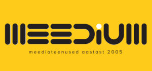 meedialabor stiiliraamat.indd